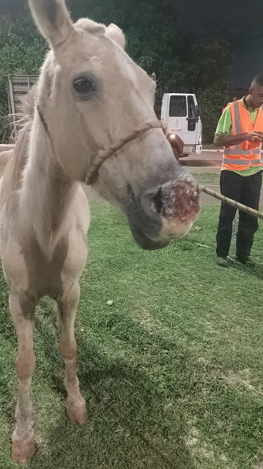 Foto: Divulgação/Administração Regional de Ceilândia
