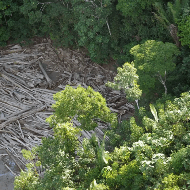 Foto: Arquivo/Agência Brasi