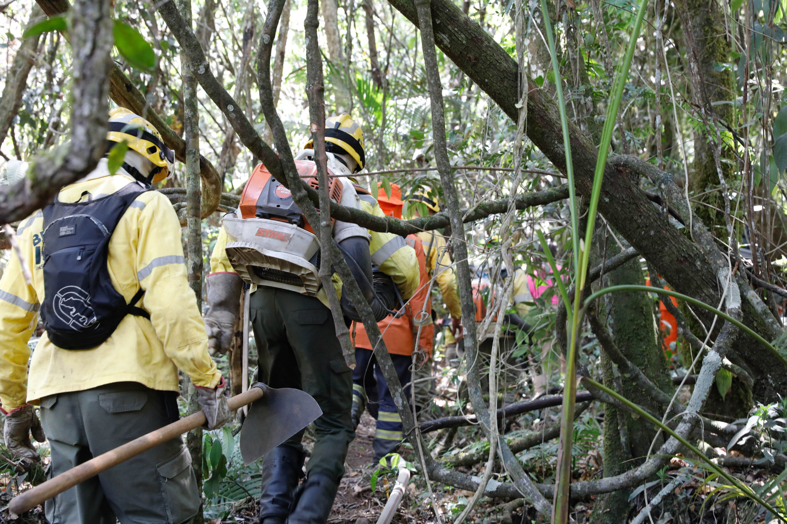 Foto: Divulgação/Sema-DF