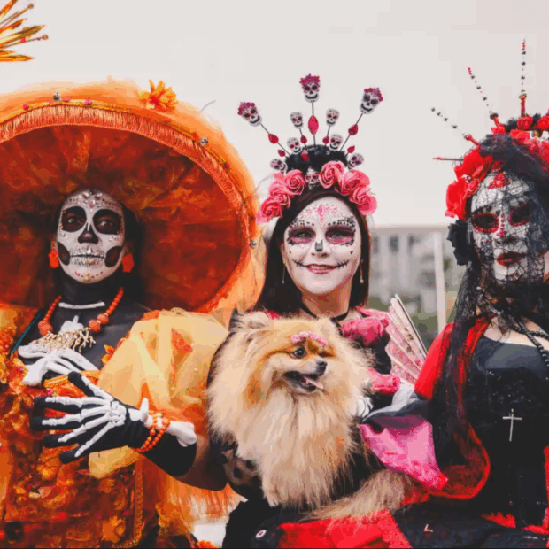 captura de tela 2025 10 29 085115