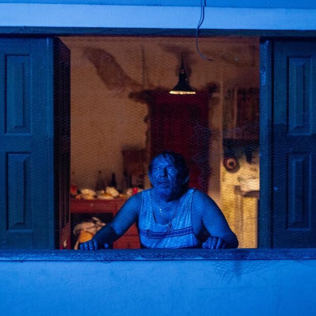 curta mata gato foto divulgação 3