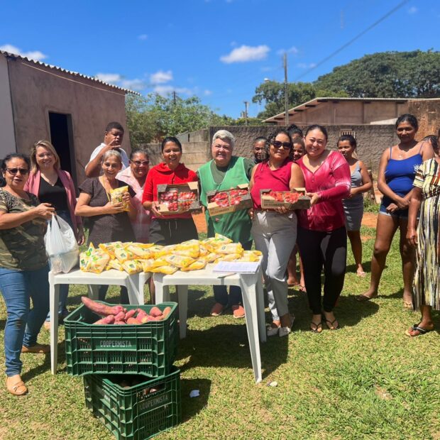 Foto: Divulgação/Emater-DF