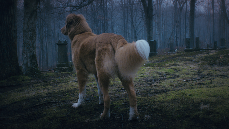 4a9ebfa89467a710e11756f74a441a92