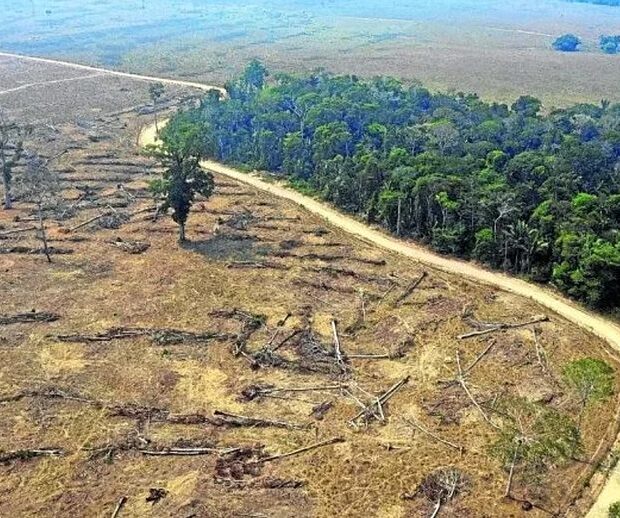Foto: Carlos Fabal/AFP
