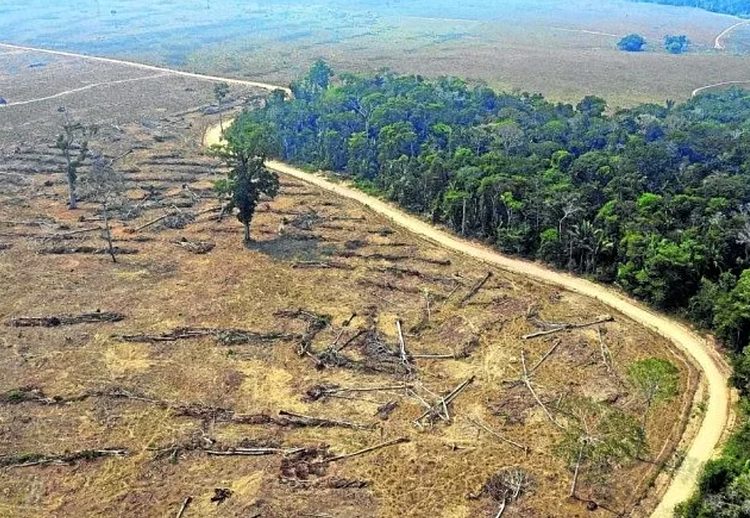 Foto: Carlos Fabal/AFP