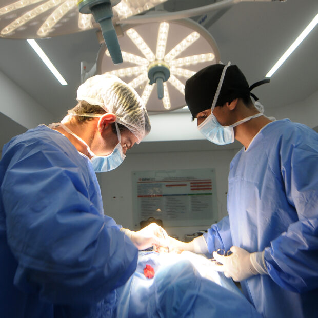 Foto: Matheus Oliveira/Agência Saúde DF