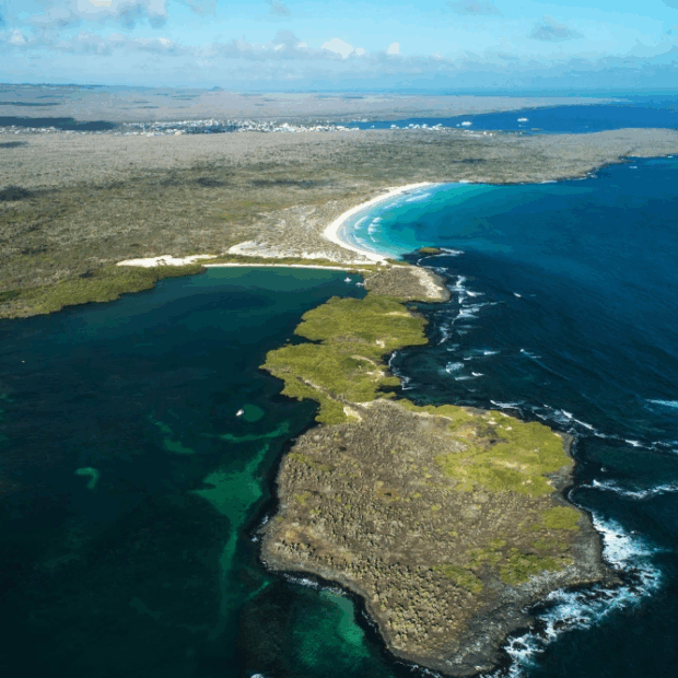 Foto: Pablo Cozzaglio / AFP