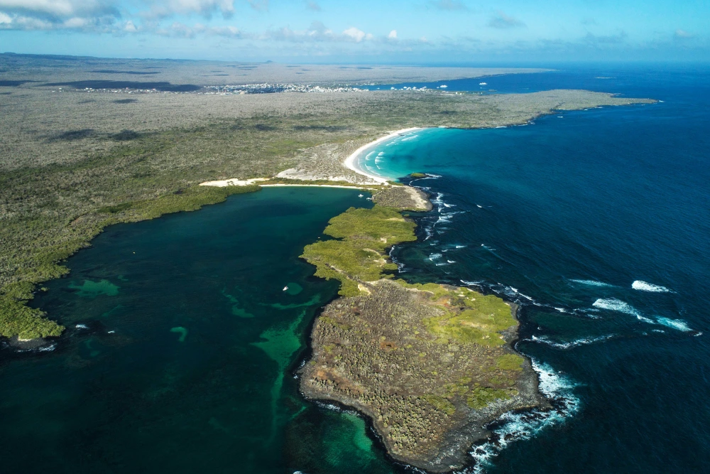 Foto: Pablo Cozzaglio / AFP