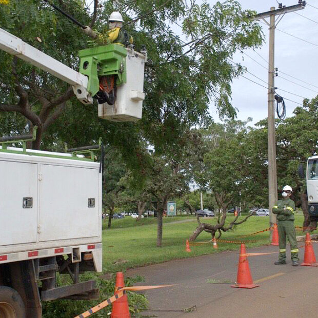 Foto: Divulgação/Neoenergia