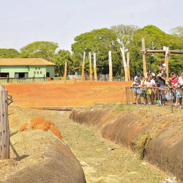 zoo foto lucio bernardo jr (2)