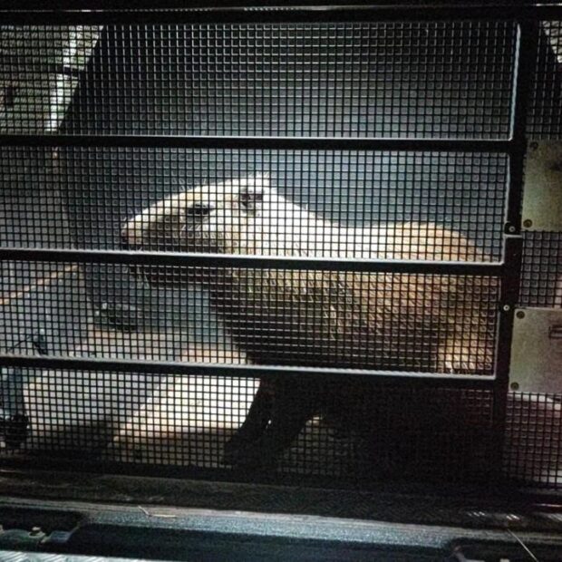 whatsapp image 2025 11 02 at 12.34.49