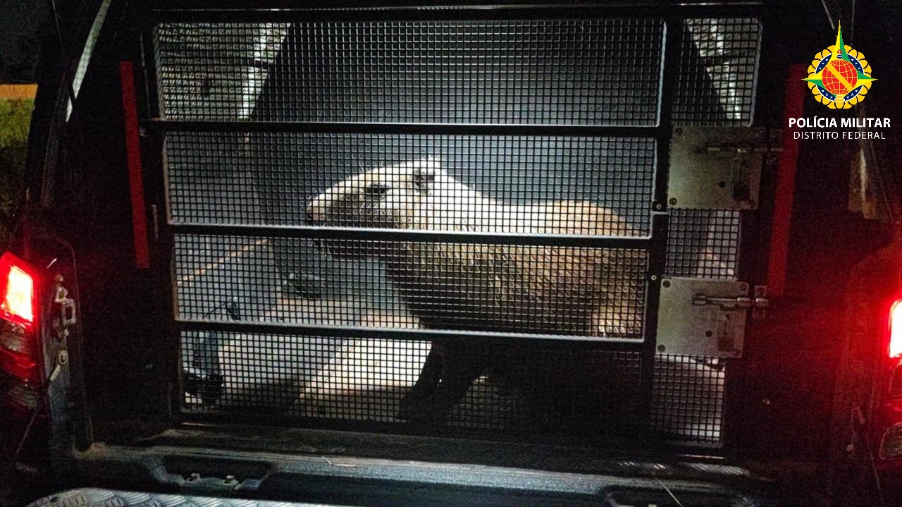 whatsapp image 2025 11 02 at 12.34.49