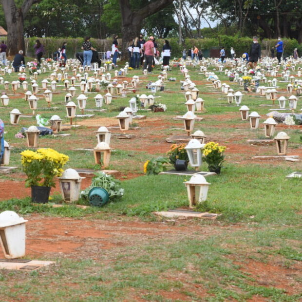 whatsapp image 2025 10 30 at 11.22.49