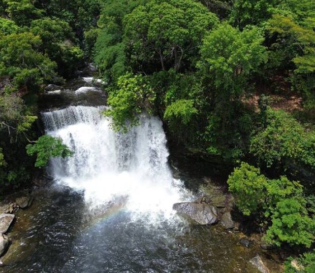 fronteira cerrado (1)