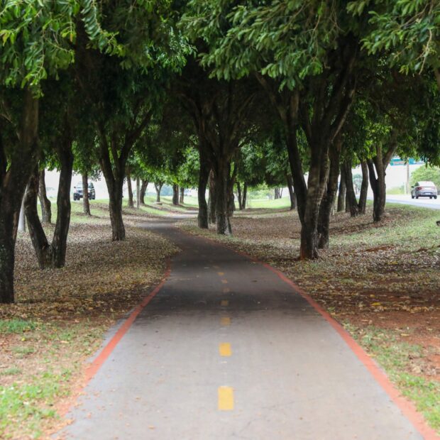 Foto: Matheus H. Souza/Agência Brasília
