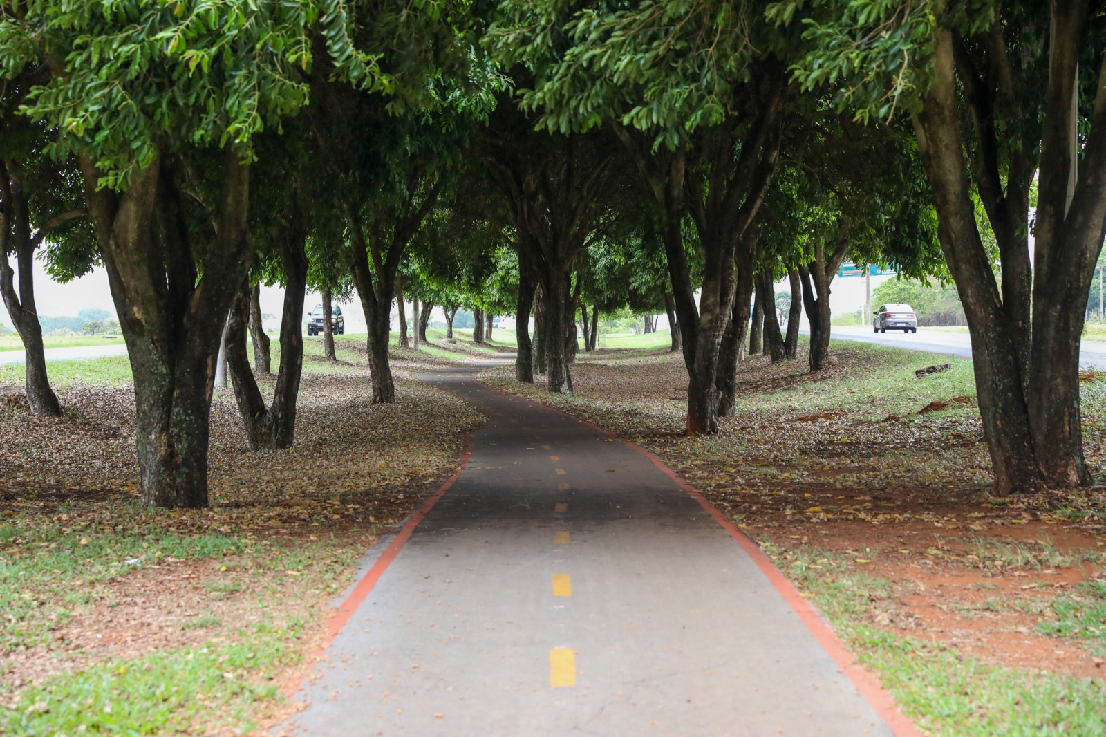 Foto: Matheus H. Souza/Agência Brasília