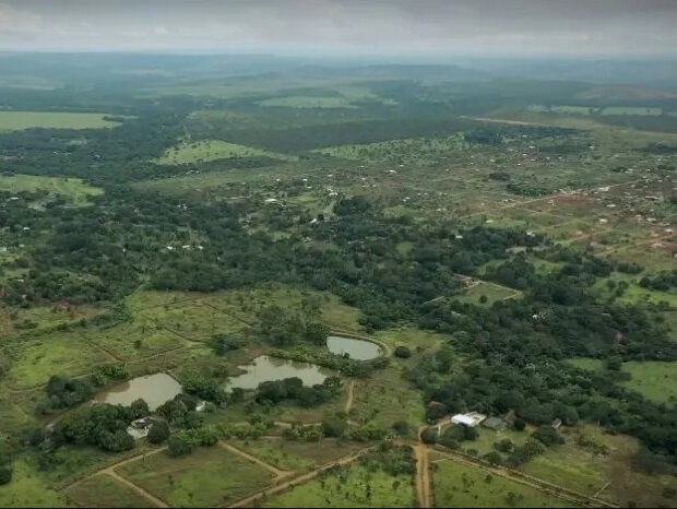 Foto: Reprodução Web