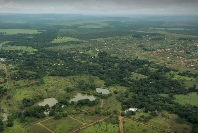 Foto: Reprodução Web