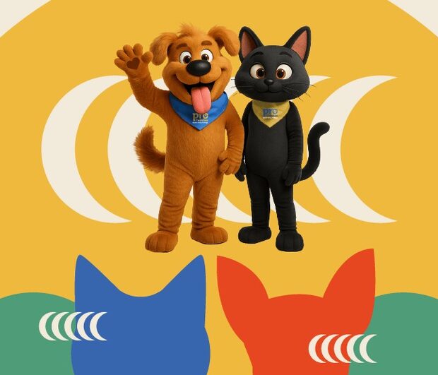 df vai microchipar 10 mil cães e gatos gratuitamente créditos reprodução ministerio do meio ambiente