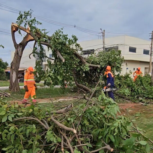 Foto: Divulgação/Administração Regional do Riacho Fundo II