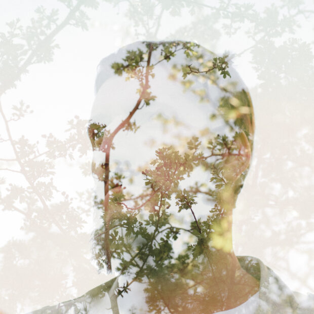 copy plant covered mountains space