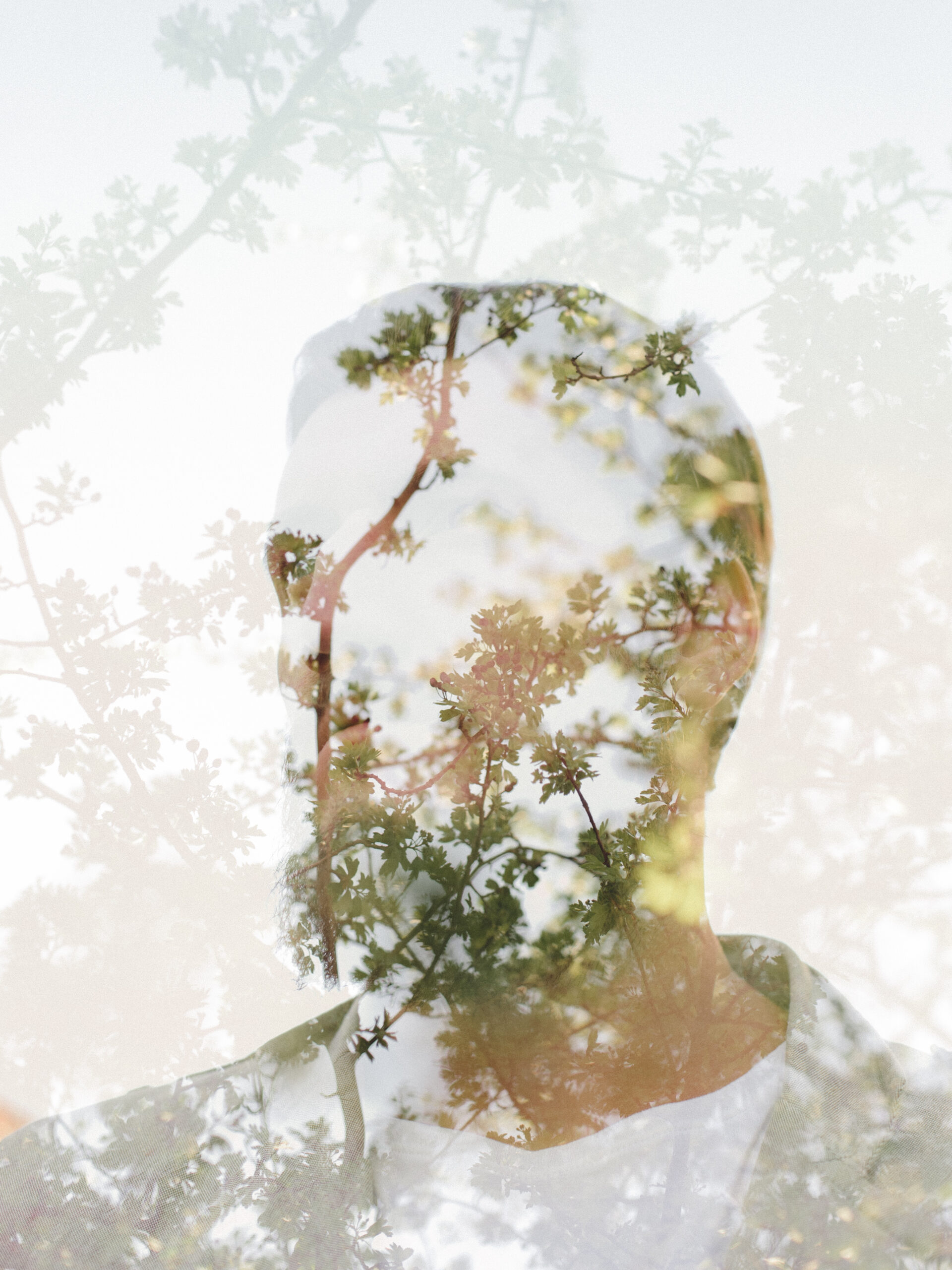 copy plant covered mountains space