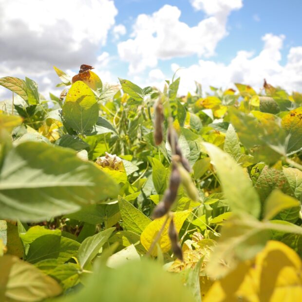 Foto: Renato Alves/Agência Brasília