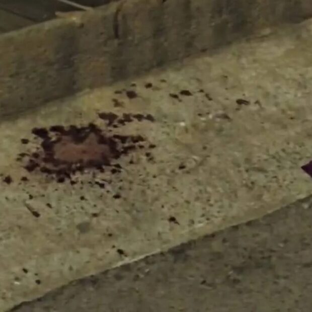 homem ataca amigo com faca após acusação de furto créditos reprodução pcdf