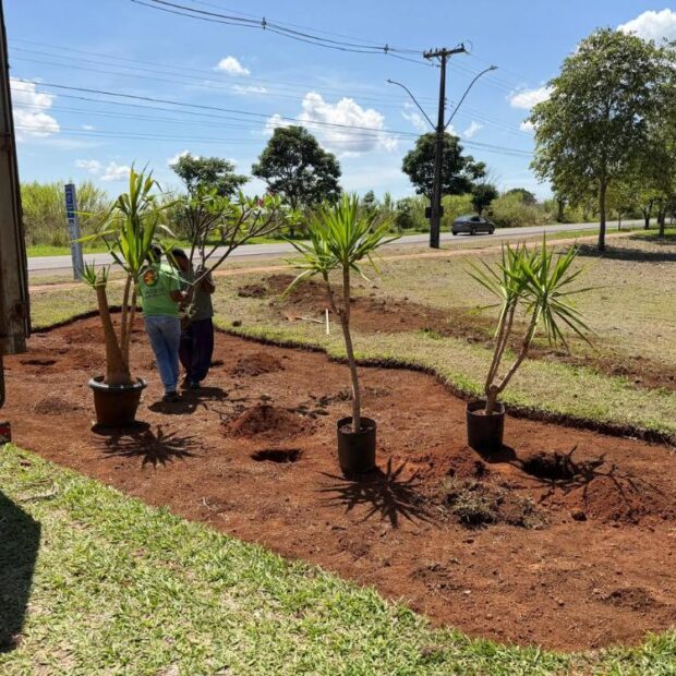 whatsapp image 2025 11 05 at 17.49.03