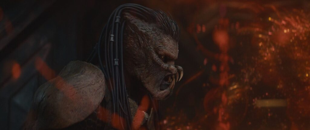 20251015 ovicio predador clipe