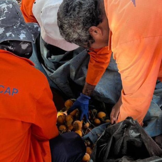 Foto: Divulgação/Novacap