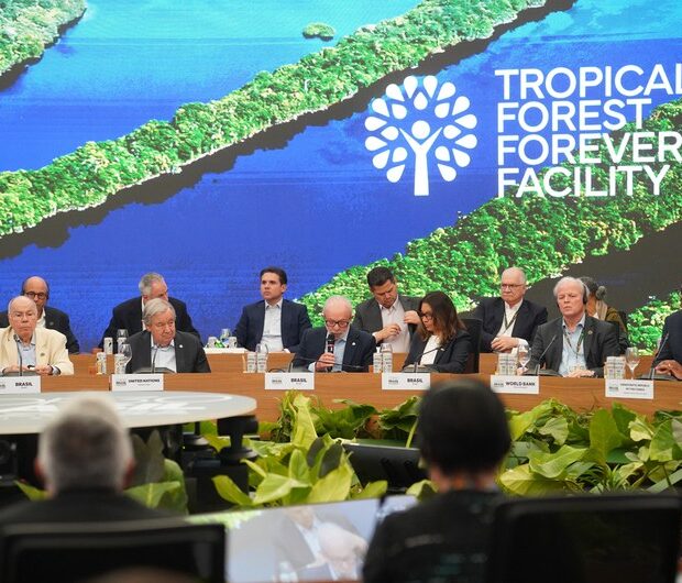 Foto: Fernando Donasci/MMA