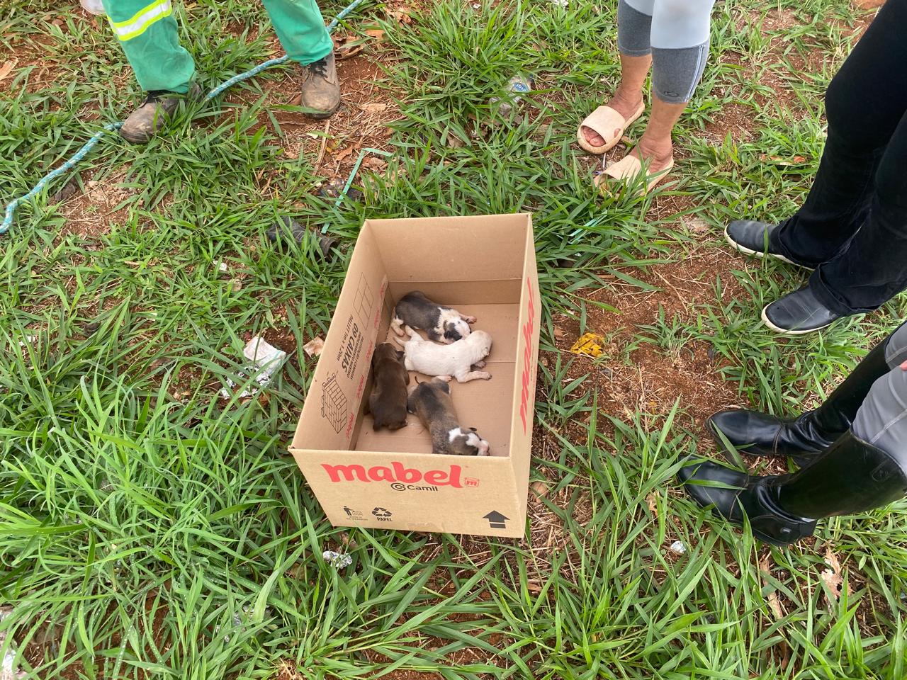 Foto: Divulgação/SLU