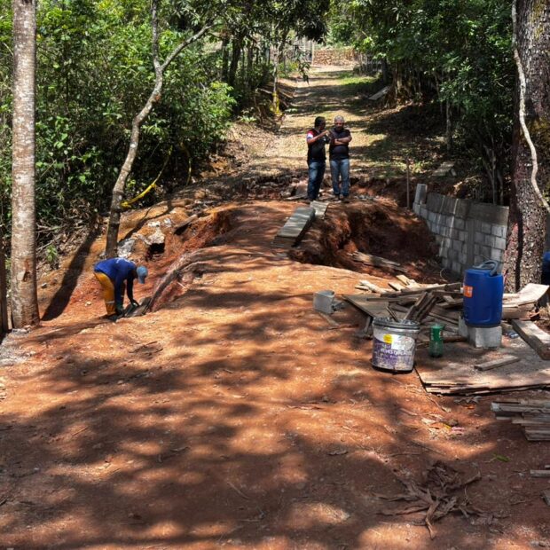 whatsapp image 2025 11 07 at 15.29.04