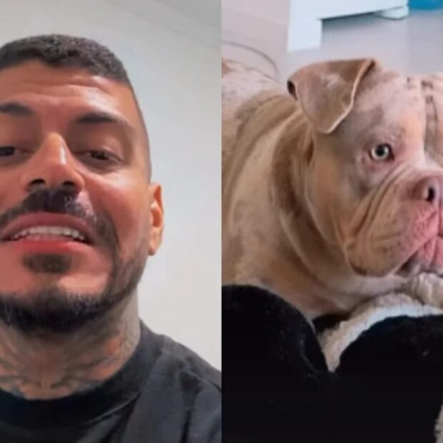 imagem do whatsapp de 2025 11 10 à(s) 09.51.23 2365e95f