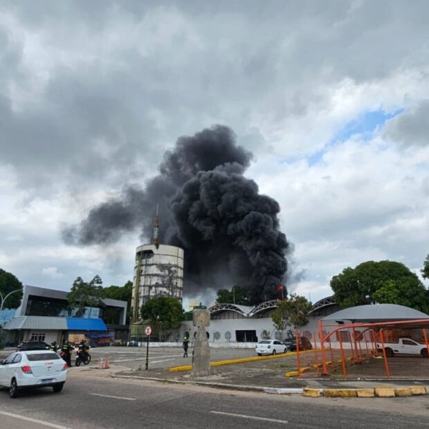 whatsapp image 2025 11 10 at 11.26.44 1024x768 (1)