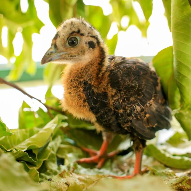 whatsapp image 2025 11 10 at 16.51.52