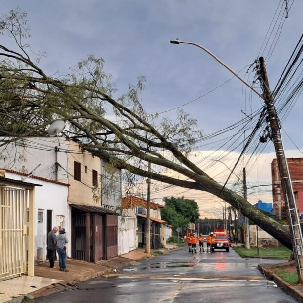 whatsapp image 2025 11 10 at 19.17.51