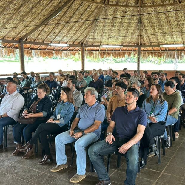 capacitaçao cafeicultura