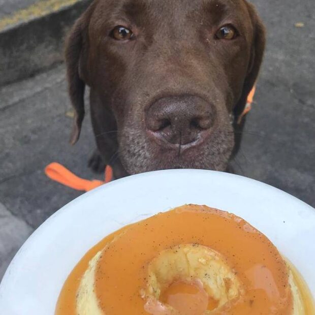 1745953205681121b52a520 1745953205 3x2 lg