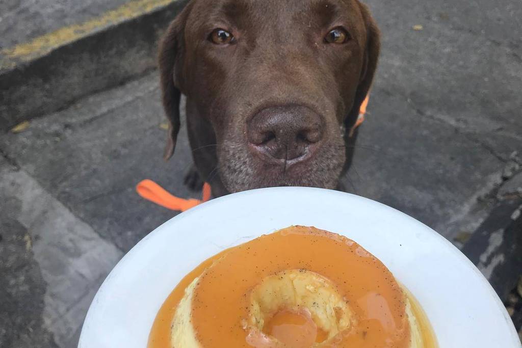 1745953205681121b52a520 1745953205 3x2 lg