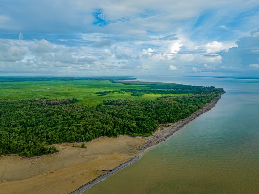 Foto: Instituto Onça-Pintada/Divulgação