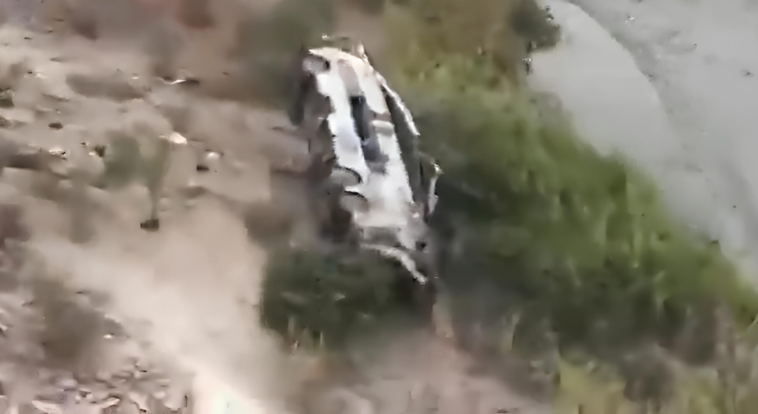 Foto: Reprodução/Redes Sociais