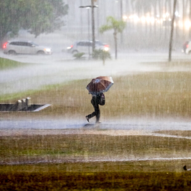 Foto: Joel Rodrigues/Agência Brasilia