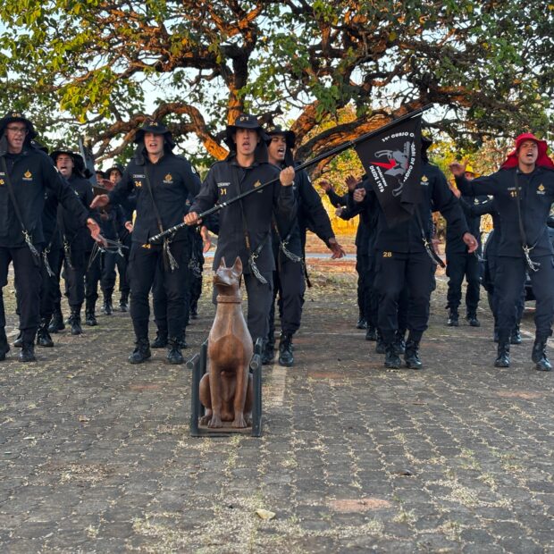 whatsapp image 2025 11 12 at 11.29.55