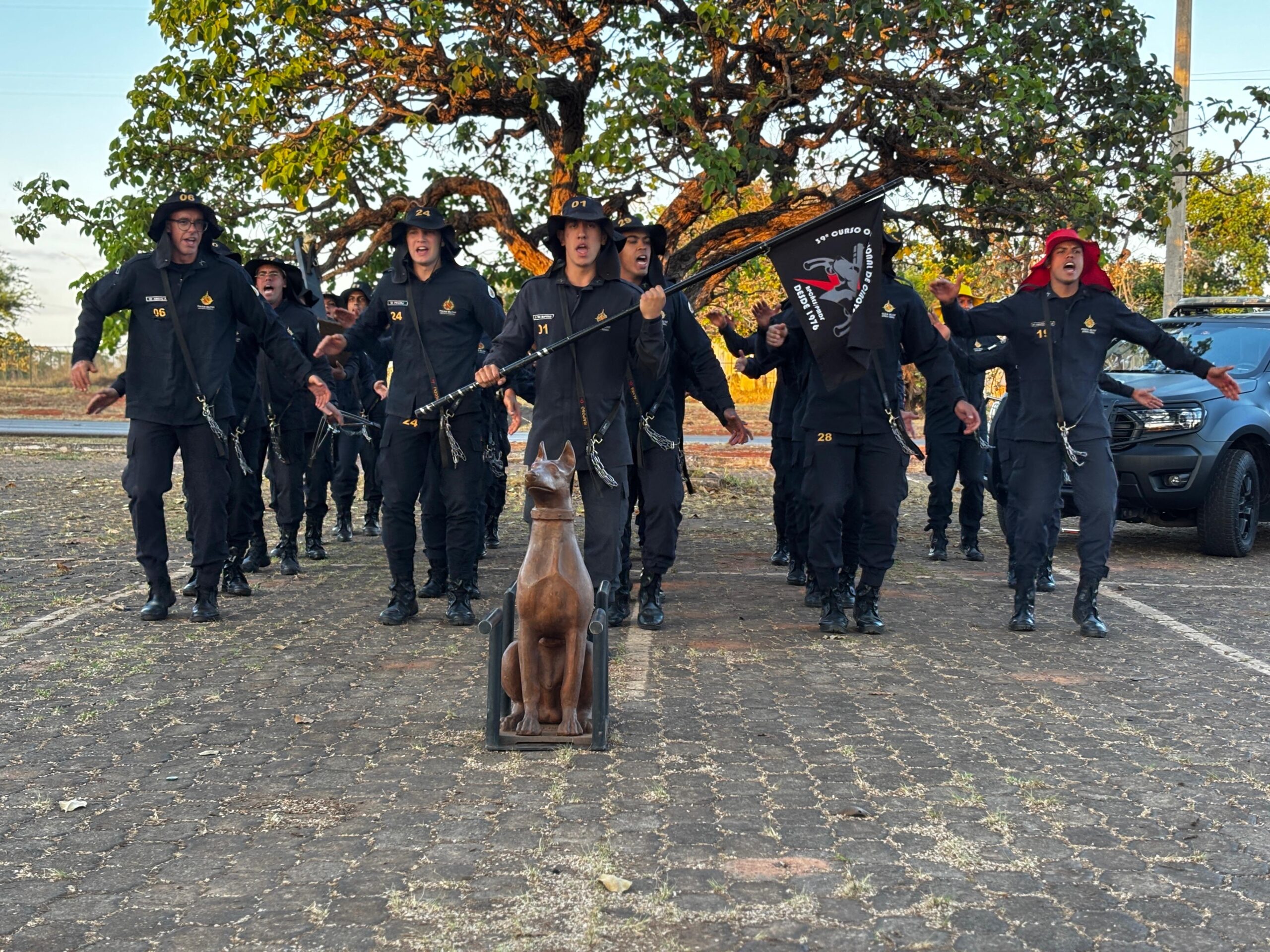 whatsapp image 2025 11 12 at 11.29.55