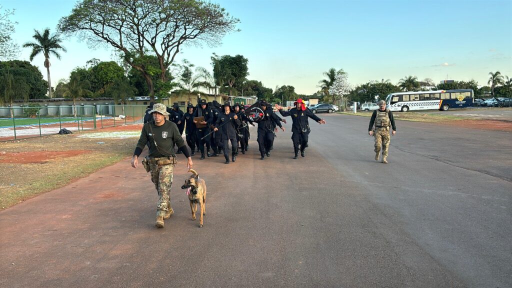 whatsapp image 2025 11 12 at 11.31.01