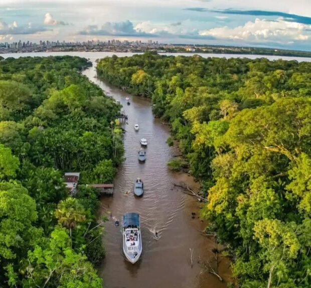 amazonia ricardo stuckert pr 1024x576