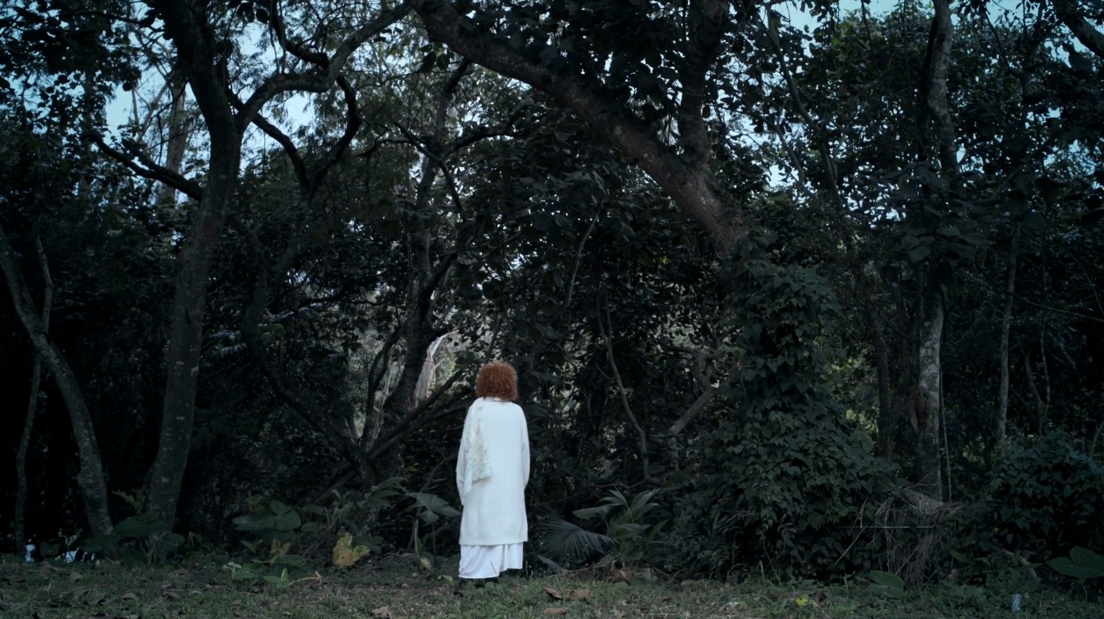 whatsapp image 2025 11 11 at 15.46.23