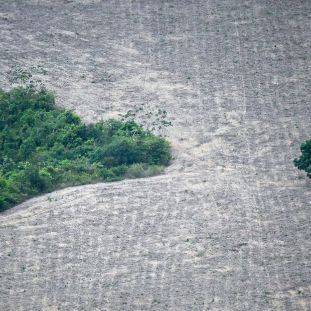 brazil climate cop30 un